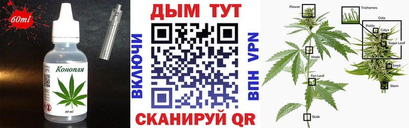 Cannafood конопля  Бабаево 