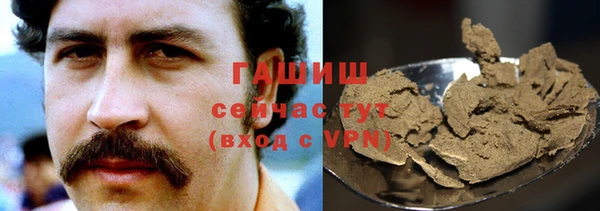 индика Арсеньев