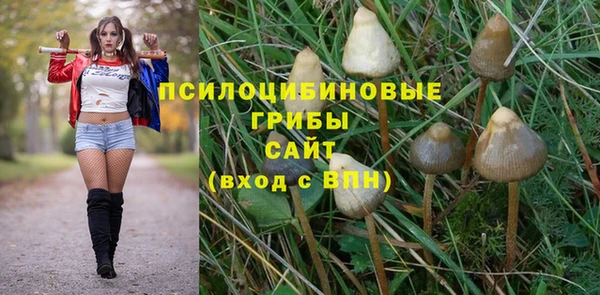 прущий лед Армянск