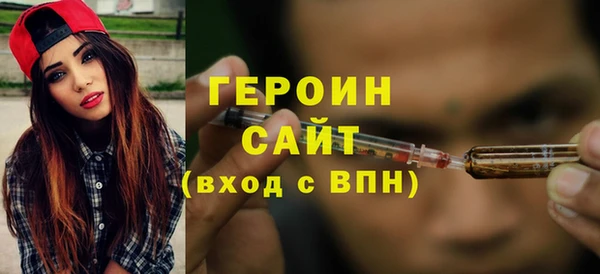 индика Арсеньев