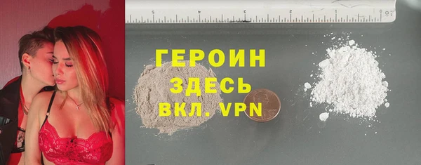 индика Арсеньев