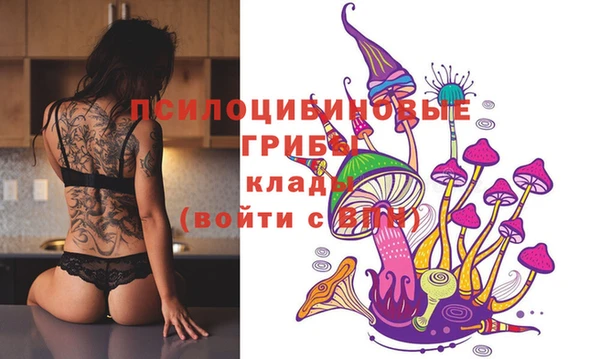 сатива Алексеевка