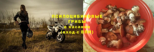 индика Арсеньев