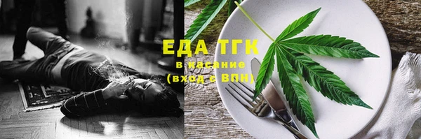 индика Арсеньев