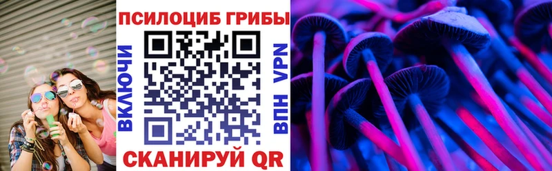 кракен рабочий сайт  магазин  наркотиков  Бабаево  Псилоцибиновые грибы MAGIC MUSHROOMS 